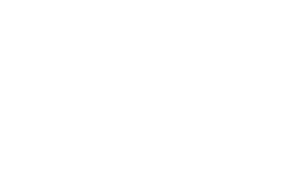 Velox Aceites y Lubricantes