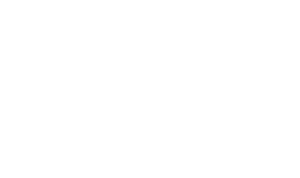 Velox Automitriz