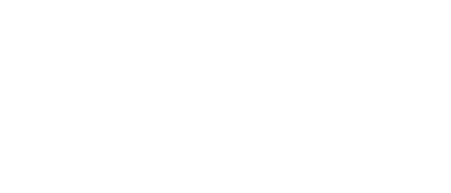 velox automotriz